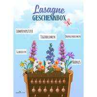 Lasagne-Paket – Zwiebel-Lasagne
