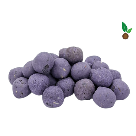 Einzelne violette Samenbomben
