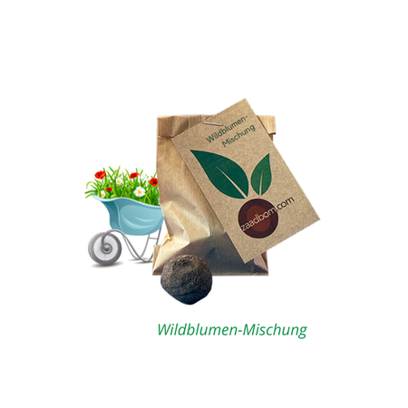 1 Samenbombe im Beutel: Wildblumenmix
