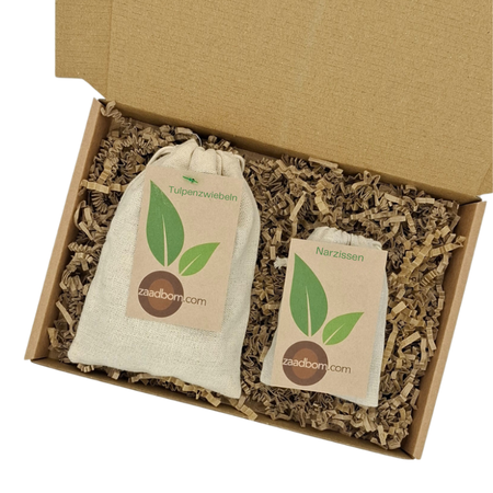 Tulpen- und Narzissen-Blumenzwiebel Paket