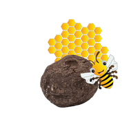 Einzelsamenbomben Bienenmischung - Bulk