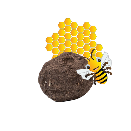 Einzelsamenbomben Bienenmischung - Bulk