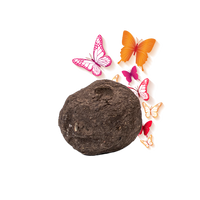 Einzelsamenbomben Schmetterlingsmischung - Bulk