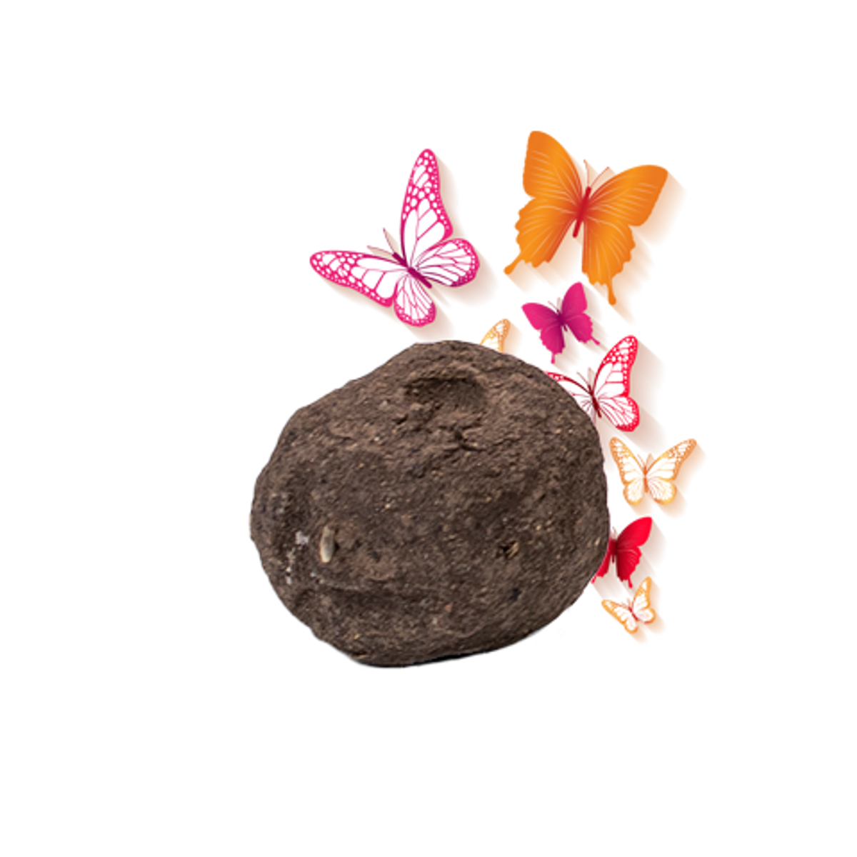 Einzelsamenbomben Schmetterlingsmischung - Bulk