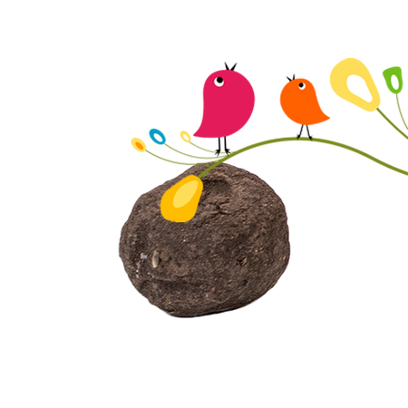 Einzelsamenbomben Vogelmischung - Bulk