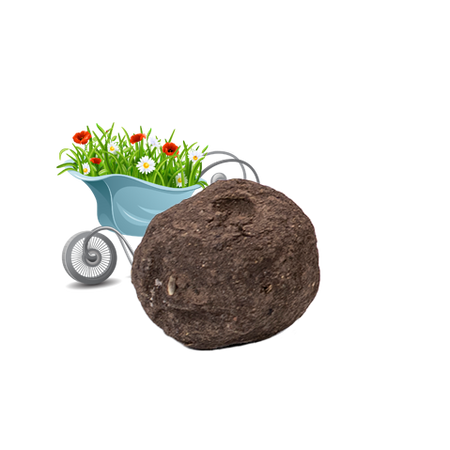 Einzelsamenbomben Wildblumenmix - Bulk